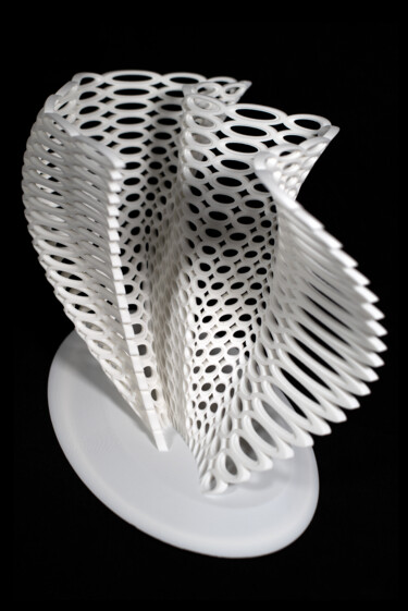 Скульптура под названием "Growth Rings" - Maria Lorena Lehman, Подлинное произведение искусства, Пластмасса
