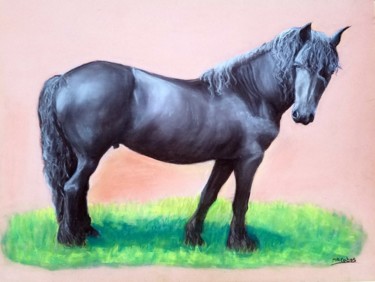 Dessin intitulée "Le frison" par Marian Cobos, Œuvre d'art originale, Pastel