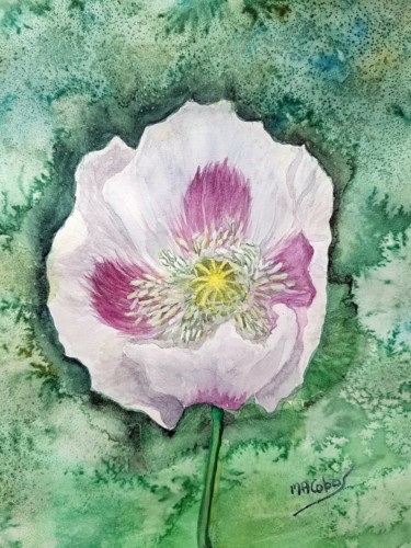 Le pavot blanc Peinture intitulée "Le pavot blanc" par Marian Cobos, Œuvre d'art originale, Aquarelle