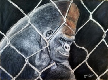 Malerei mit dem Titel "Gorille et Liberté ?" von Marian Cobos, Original-Kunstwerk, Pastell