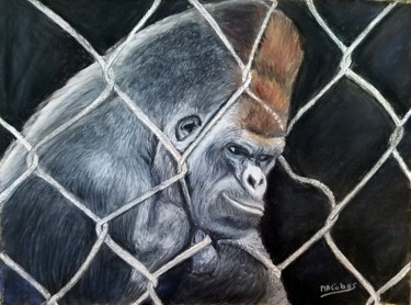 Gorille et Liberté ? Peinture intitulée "Gorille et Liberté ?" par Marian Cobos, Œuvre d'art originale, Pastel