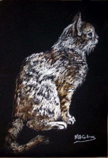 Peinture intitulée "Profil de chat" par Marian Cobos, Œuvre d'art originale