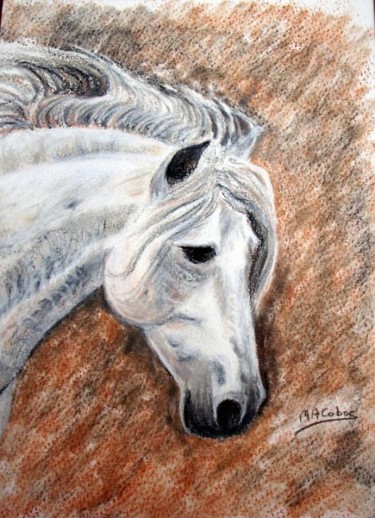 Peinture intitulée "Tête de cheval blanc" par Marian Cobos, Œuvre d'art originale