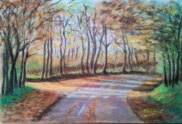 Drawing titled "Automne, couleurs e…" by Marian Cobos, Original Artwork, Pastel