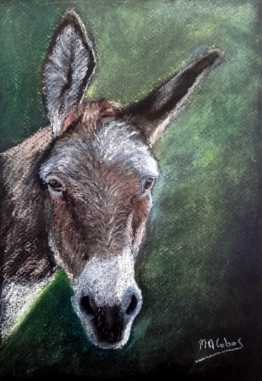 Drawing titled "Lulu" by Marian Cobos, Original Artwork, Pastel