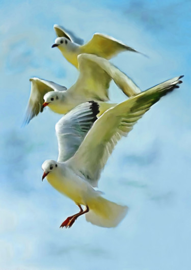 Digital Arts titled "Flying over the sky" by Marianna Skartsari, Original Artwork, Digital Painting