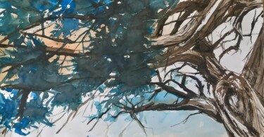 Painting titled "Juniperus thurifera" by Marianne Bouvet, Original Artwork, Watercolor