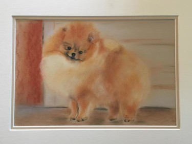 Drawing titled "Spitz" by Marianne Hameau, Original Artwork, Pastel Mounted on Glass