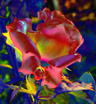 Digital Arts titled "la rosa in blu" by Mariateresa Sala, Original Artwork, 2D Digital Work