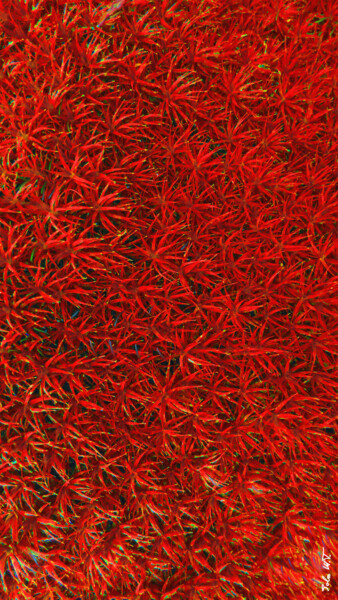 Arte digitale intitolato "muschio rosso" da Mariateresa Sala, Opera d'arte originale, Lavoro digitale 2D