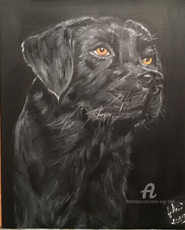 Painting titled "Labrador noir" by Marie-Ange Fileni, Original Artwork, Oil