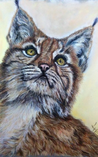 Peinture intitulée "Jeune Lynx" par Mariebretonne, Œuvre d'art originale, Pastel