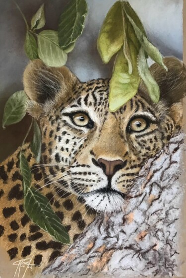 Drawing titled "MATIMBA" by Marie-Christine Rivel, Original Artwork, Pastel Mounted on Wood Stretcher frame