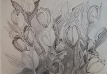 Drawing titled "Tulipes au jus de c…" by Marie-Claire Bagnato, Original Artwork, Pencil