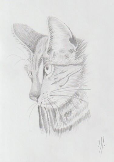 Drawing titled "Et tu y crois, toi ?" by Marie-Claire Bagnato, Original Artwork, Pencil