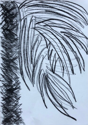 Drawing titled "PALMIER FUSAIN SCOT…" by Marie-Claire Bagnato, Original Artwork, Charcoal