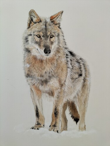 Painting titled "Loup" by Marie-Claude Guérineau, Original Artwork, Watercolor Mounted on Glass