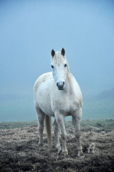 Fotografia zatytułowany „Dans la brume, une…” autorstwa Marie Fav, Oryginalna praca, Fotografia nie manipulowana