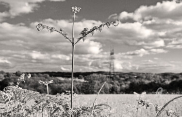 Photography titled "Un tout petit pylone" by Marie Fav, Original Artwork, Non Manipulated Photography