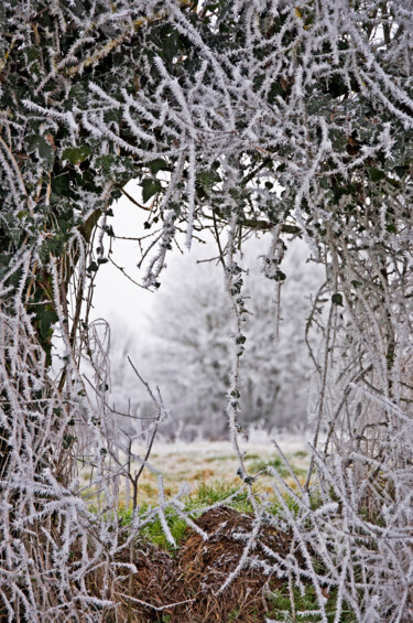 Photographie intitulée "Une petite fenêtre…" par Marie Fav, Œuvre d'art originale, Photographie non manipulée