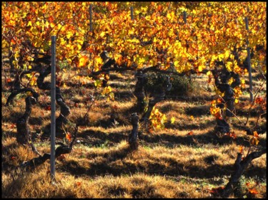 Photography titled "Côtes de Provence" by Marie-France Berthelé, Original Artwork, Digital Photography