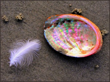 Fotografía titulada "Sur la plage , aban…" por Marie-France Berthelé, Obra de arte original, Fotografía digital