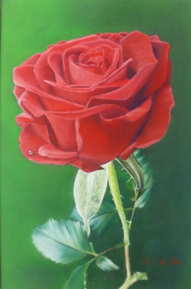 Dessin intitulée "rose de velours 2" par Marie-Françoise Le Néen, Œuvre d'art originale, Pastel