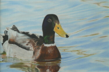 Drawing titled "Canard" by Marie-Françoise Le Néen, Original Artwork, Pastel