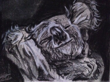 Рисунок под названием "KOALA" - Marie G, Подлинное произведение искусства, Древесный уголь