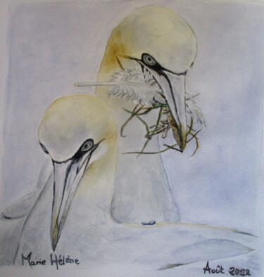 Peinture intitulée "Couple de Bassans" par Bilitis, Œuvre d'art originale, Aquarelle