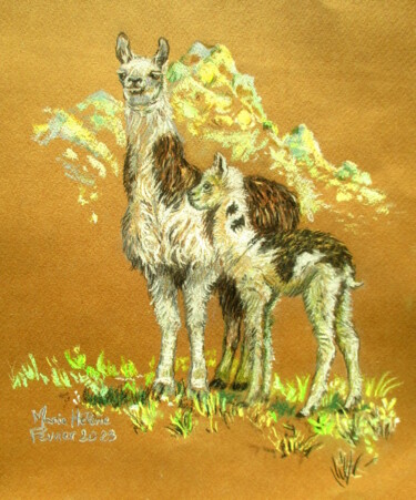 Rysunek zatytułowany „Les lamas” autorstwa Bilitis, Oryginalna praca, Pastel