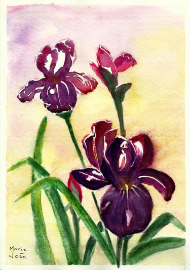 绘画 标题为“Iris mauve” 由Marie-José Longuet, 原创艺术品, 水彩