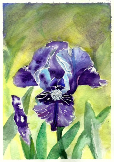 Painting titled "Iris violet" by Marie-José Longuet, Original Artwork, Watercolor
