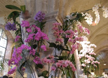 Fotografia intitulada "Orchidées à l'Abbay…" por Marie-José Longuet, Obras de arte originais
