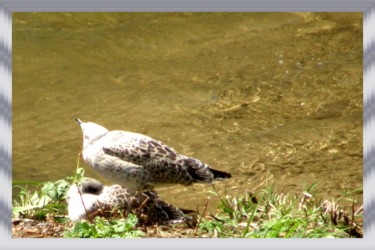 Photography titled "Au bord de l'eau" by Marie-José Longuet, Original Artwork, Digital Photography