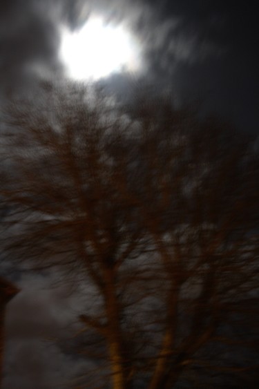 Photographie intitulée "Au clair de lune" par Marie-José Longuet, Œuvre d'art originale, Photographie numérique