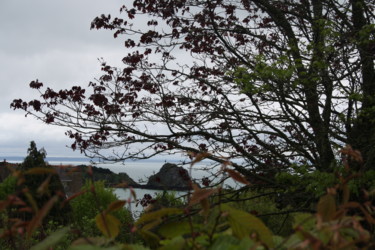 Photography titled "Cancale , la côte d…" by Marie-José Longuet, Original Artwork