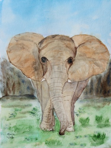 Pintura intitulada "Eléphant d'Afrique" por Marie-José Longuet, Obras de arte originais, Aquarela