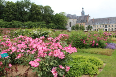 Fotografia intitolato "Les jardins de rose…" da Marie-José Longuet, Opera d'arte originale