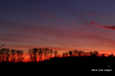 Photography titled "Pour le plaisir des…" by Marie-José Longuet, Original Artwork