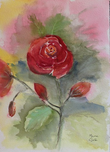 Pintura titulada "Rose ancienne" por Marie-José Longuet, Obra de arte original, Acuarela