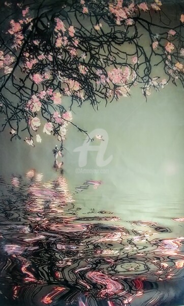 Картина под названием "Blossoms mirrored i…" - Marie-Line Vasseur, Подлинное произведение искусства, Акрил