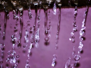 Photography titled "Perles d'eau 1" by Marie Marlène Mahalatchimy, Original Artwork, Non Manipulated Photography