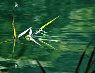 Photography titled "Reflets sur le lac 1" by Marie Marlène Mahalatchimy, Original Artwork, Non Manipulated Photography