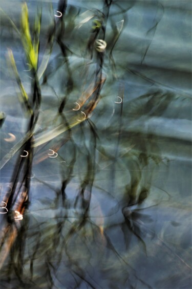 Photography titled "Série Reflets "Alli…" by Marie Marlène Mahalatchimy, Original Artwork, Non Manipulated Photography