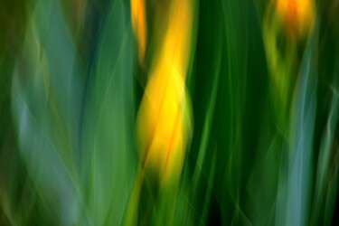 Photographie intitulée "Jaune Tulipe - Abst…" par Marie Marlène Mahalatchimy, Œuvre d'art originale, Photographie non manipu…