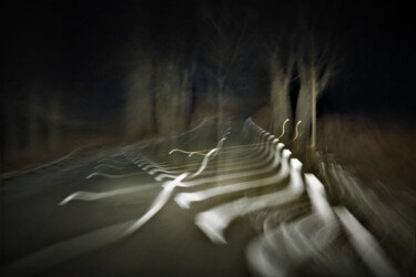 Photography titled "Stranger's Zebras o…" by Marie Marlène Mahalatchimy, Original Artwork, Non Manipulated Photography