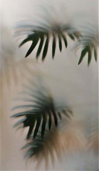 Photography titled "En Surimpression" by Marie Marlène Mahalatchimy, Original Artwork, Non Manipulated Photography