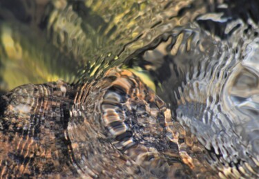 Photography titled "Coquillages" by Marie Marlène Mahalatchimy, Original Artwork, Non Manipulated Photography