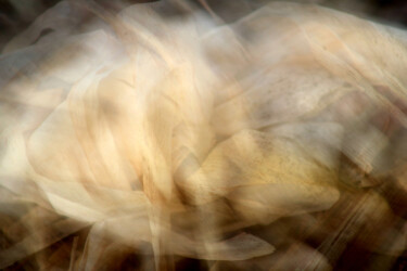 Photography titled "voile sur le flou" by Marie Marlène Mahalatchimy, Original Artwork, Non Manipulated Photography